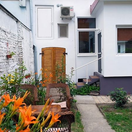 Oaza Centar Apartment Novi Sad Bagian luar foto
